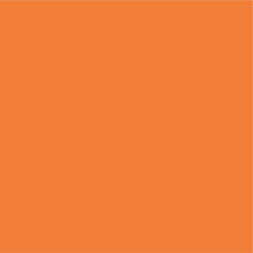 Orange (P1575)