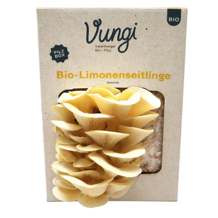 Eine besonders nachhaltige Verpackung die aus Gras produziert wurde. 