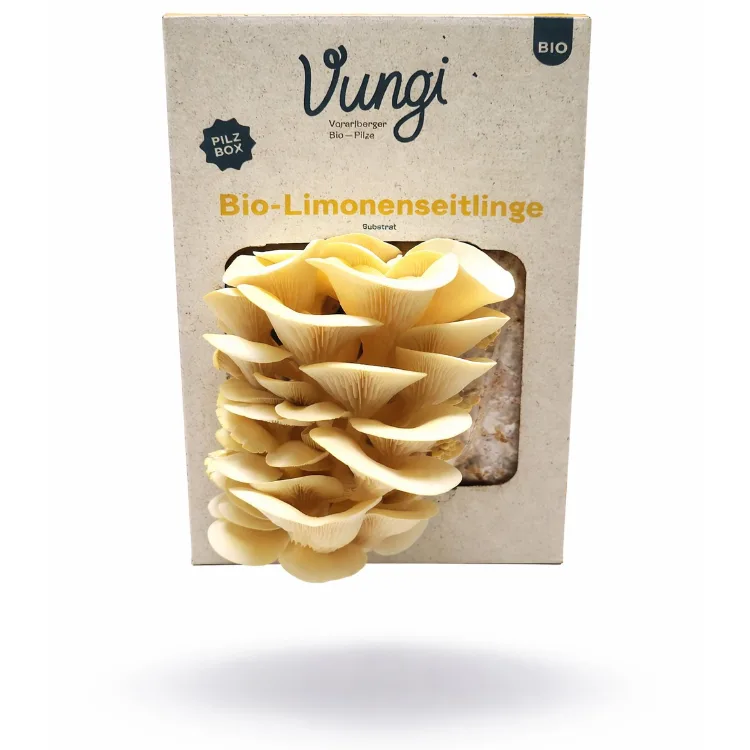 Nachhaltige Verpackugnslösungen von 123BAG